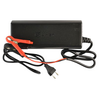 Зарядное устройство для LFP-аккумуляторов 12V, 20A